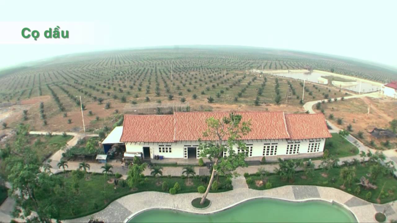 Ngân[-]hàng[-]Nhà[-]nước[-]thông[-]qua[-]đề[-]xuất[-]"cứu"[-]Hoàng[-]Anh[-]Gia[-]Lai